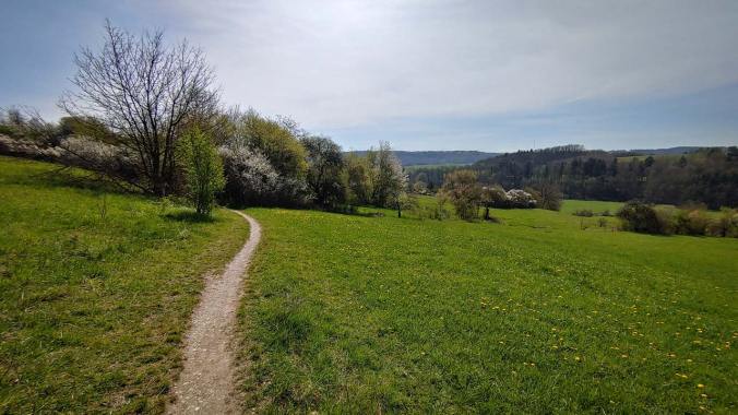 Heute mal ein wenig Trailrunning in der Mittagspause