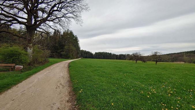 Reichlich stürmisch heute