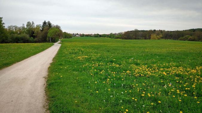 Heute war ein sehr angenehmes Laufwetter