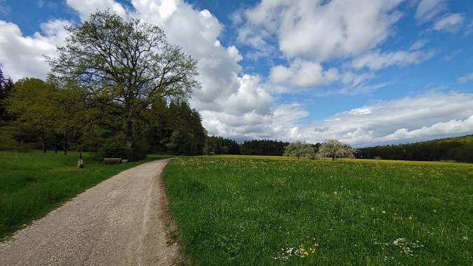 Heute bin ich noch vor dem Regen durchgekommen...