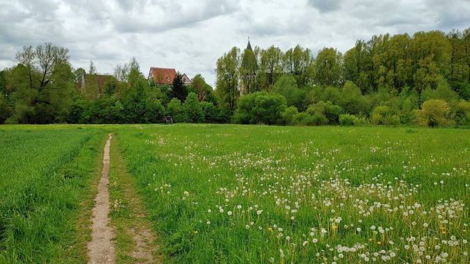 Es grünt so grün...