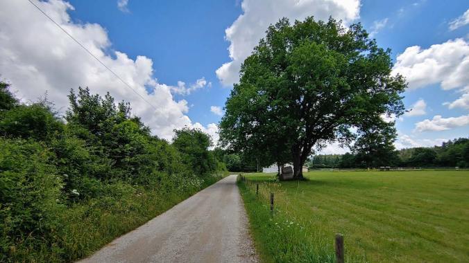 Das Foto zu meinem 1000. Lauf