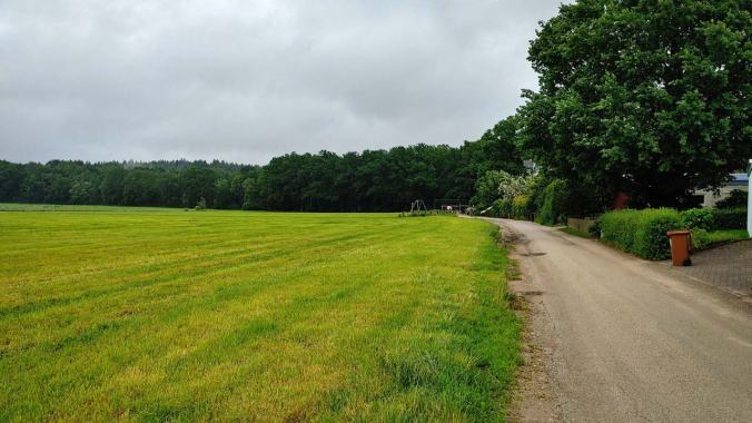 Morgenlauf im Nieselregen