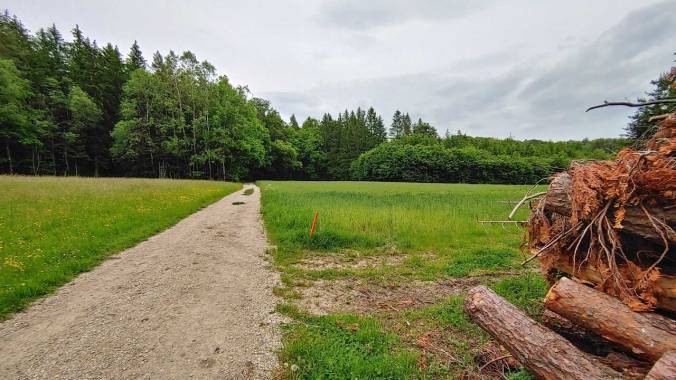 Kurz bevor die Hitzegewitter kommen, war ich noch eine Runde laufen