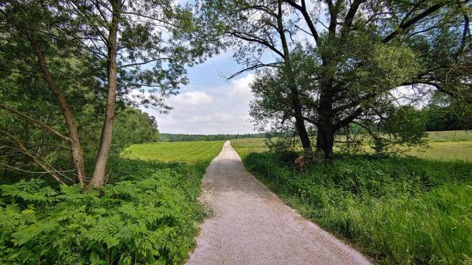 Heute war die Luftfeuchtigkeit extrem hoch...
