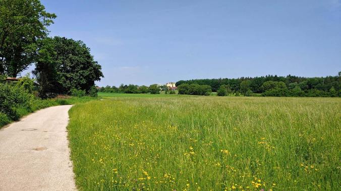 Sommergefühle beim Mittagslauf
