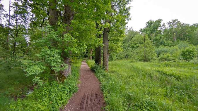 Heute hat es endlich einmal wieder geregnet!
