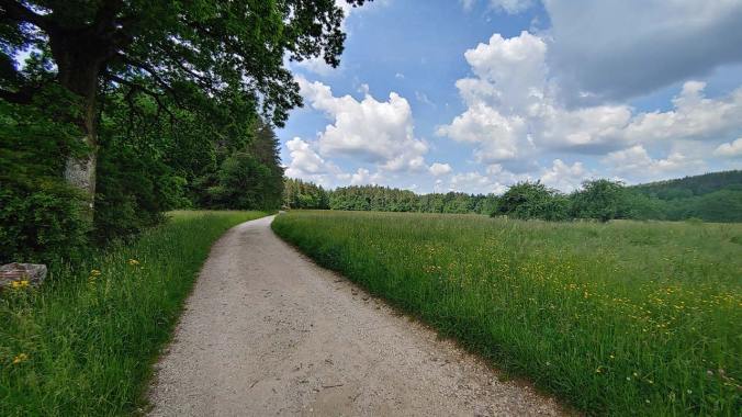 Der bisher wohl heißeste Lauf des Jahres