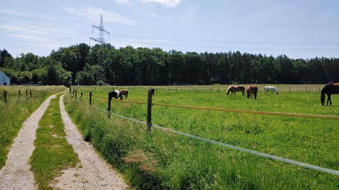 Hallo, schnuckelige Pferdies...