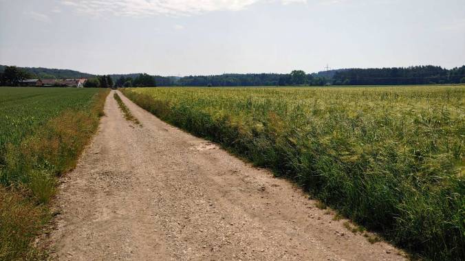 Zu wenig Schlaf und viel zu heiß
