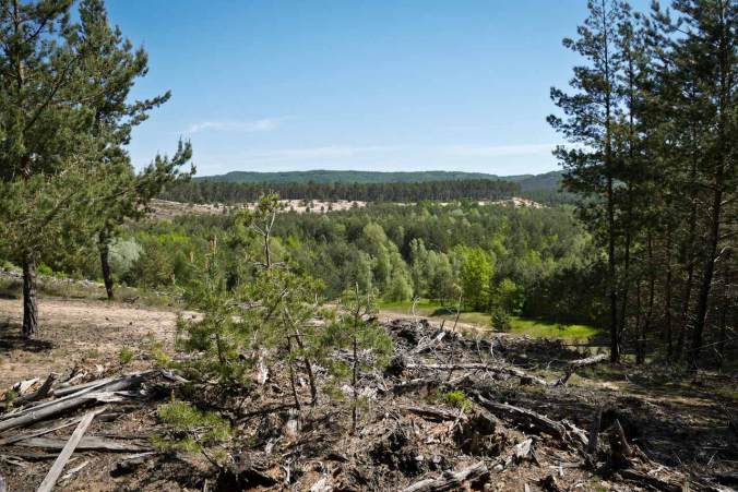 Der erste Blick auf die große Sanddüne