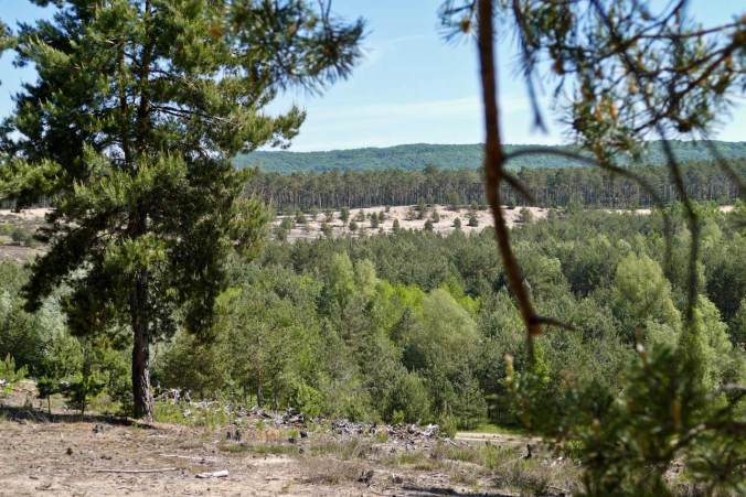 Gut eine Stunde später sollten wir am hinteren Waldrand rasten