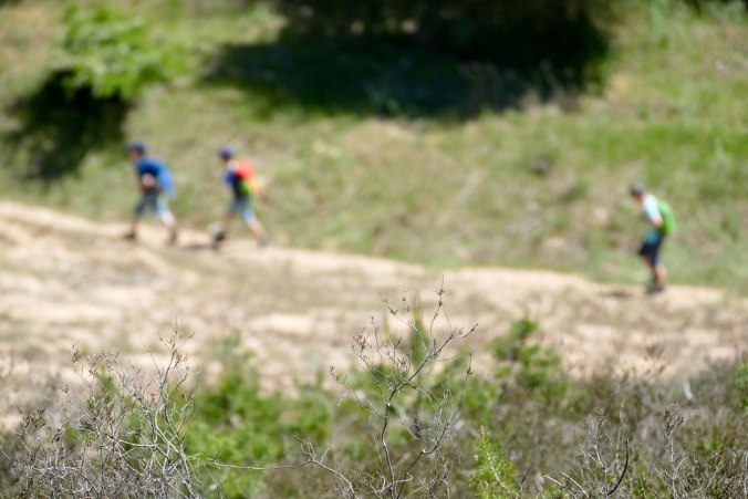 Auf Erkundungstour durch die Dünenlandschaft
