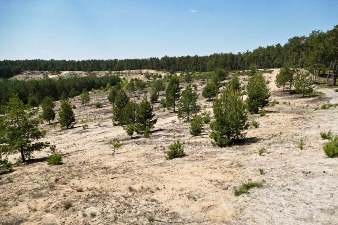 Ein letzter Blick auf die große Sanddüne