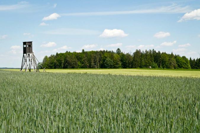 Ein einsamer Hochsitz auf der Hochebene