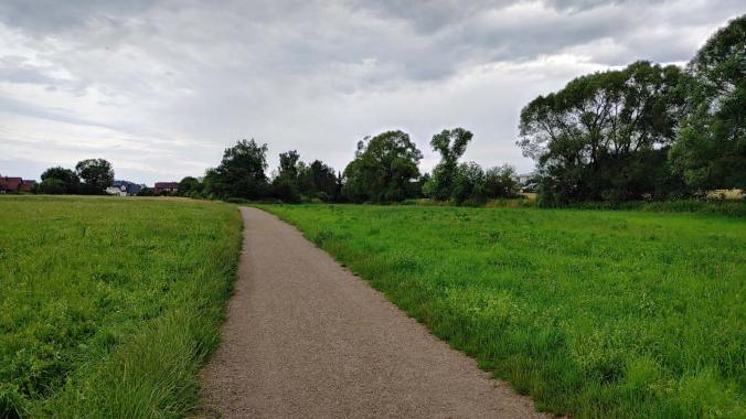 Trübes Wetter und Nieselregen zum Morgenlauf