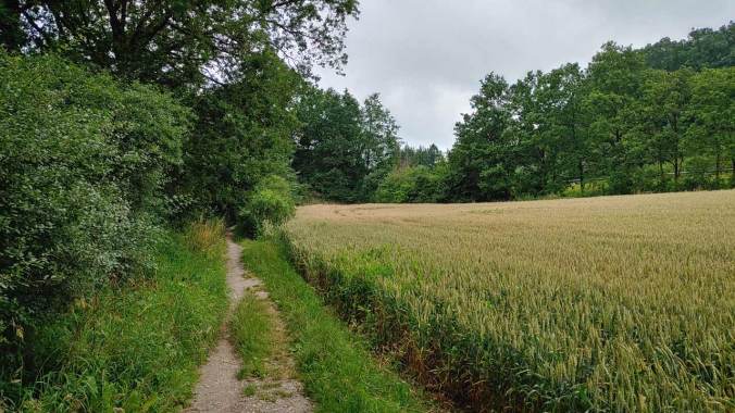 Heute hatte ich es eilig...