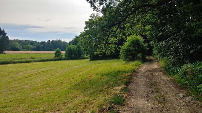 Nach dem Regen war es recht schwül
