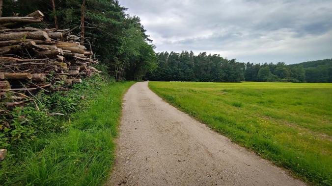 Heute hat es einmal wieder beim Laufen geregnet