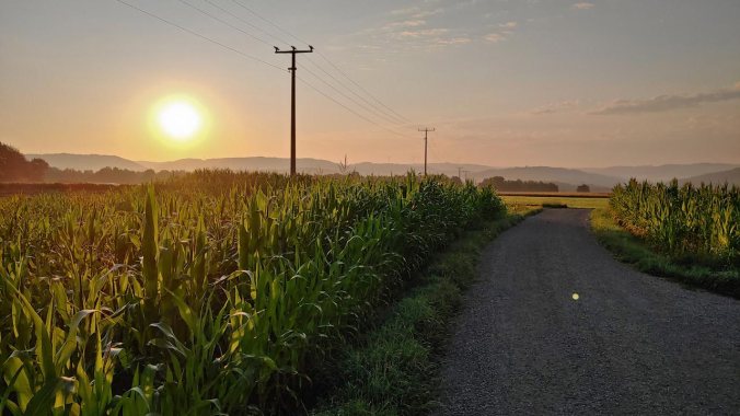 Sonnenaufgang über den Feldern