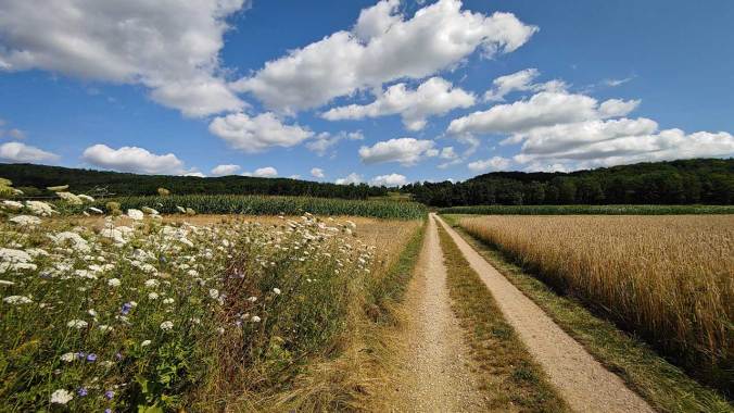 Ziemlich windig war es heute