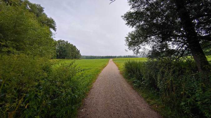 Ein regnerischer Morgenlauf