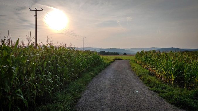 Mal wieder ein Morgenlauf im Sonnenschein
