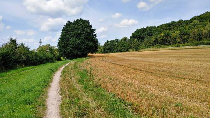 Ein heißer Mittagslauf