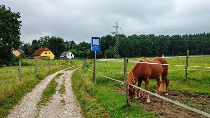 Hallo Pferd, wie geht es dir heute?