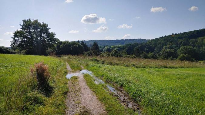 Der letzte sonnige Tage in dieser Woche