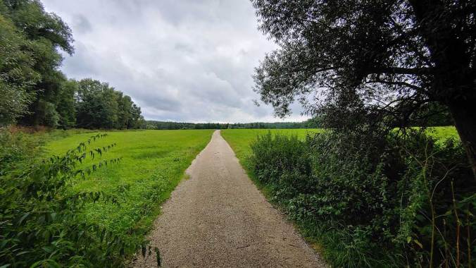 Der letzte Lauf im August 2021