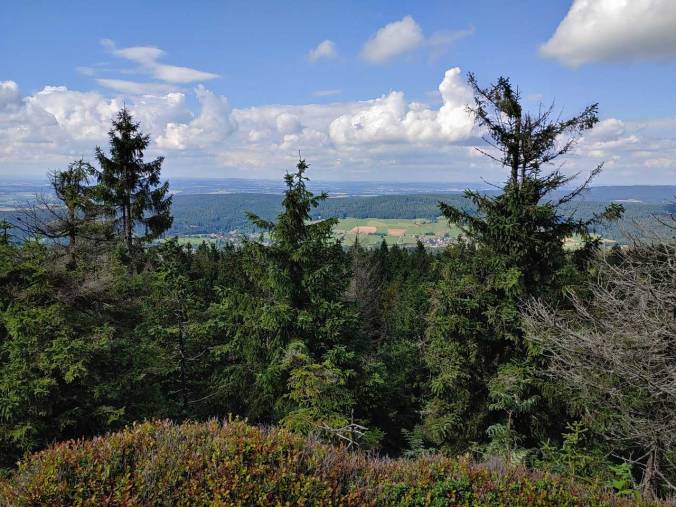 Der Blick von "unserer" Felsplattform