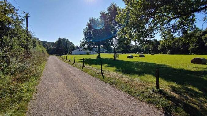 Sonnenschein am Morgen