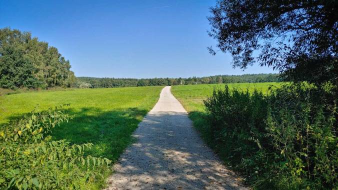 Sonnenschein beim Mittagslauf