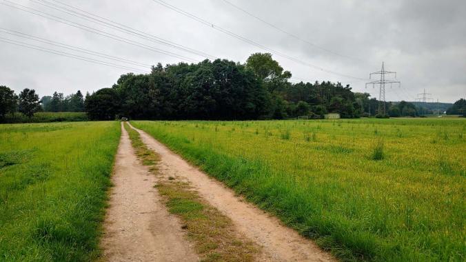 Ein Wochenendlauf in recht trübem Wetter