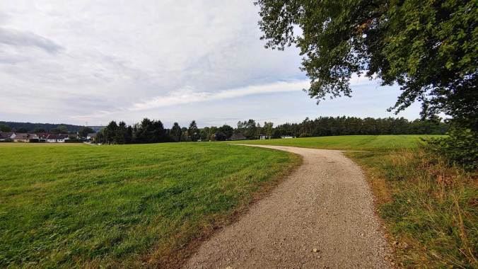 Angenehmes Laufwetter am Samstag