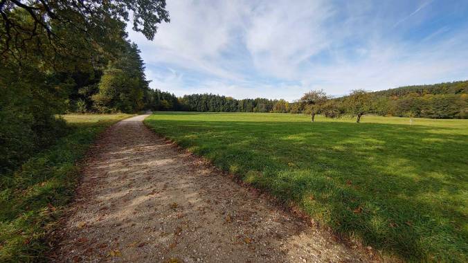 Heute mal wieder top Laufwetter