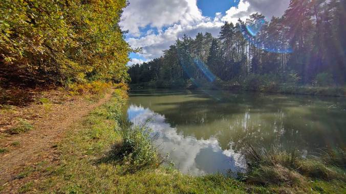 Schöne Trails durch den herbstlichen Wald