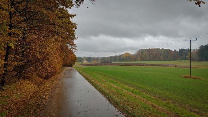 21 km durch den Dauerregen