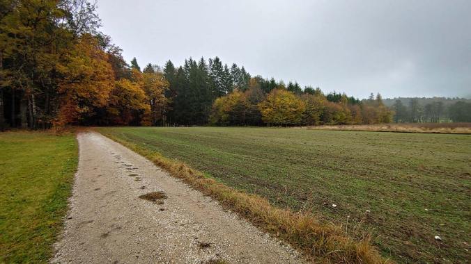 Trüb, kaltes Herbstwetter