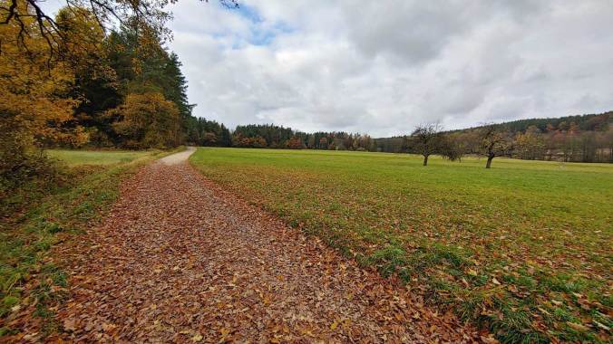 Solange es nicht rutschig ist, läuft es sich auf den Blättern sehr angenehm