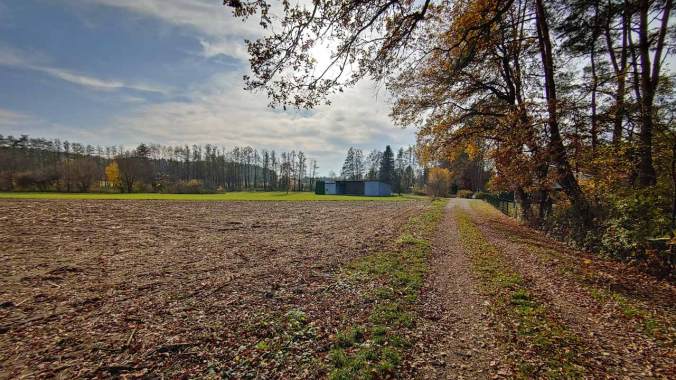 Der Herbstsonne entgegen...