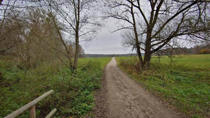 Ein trüber Herbstlauf