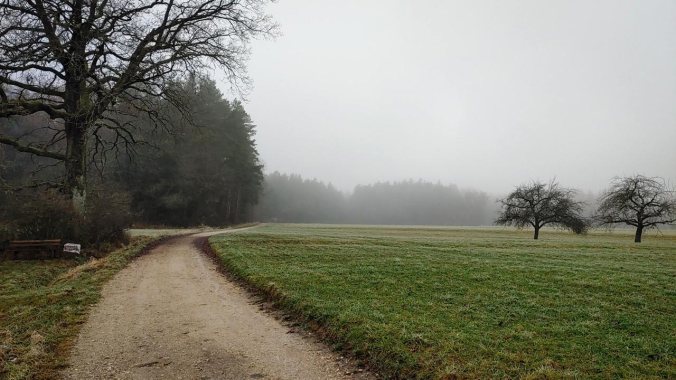 Neblig und kalt war es heute