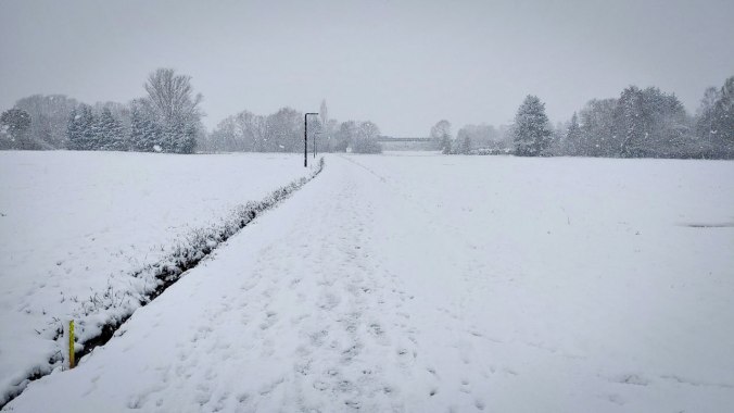 Morgenlauf durch den Schnee