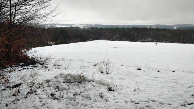 Matschiger Waldlauf mit Aussicht
