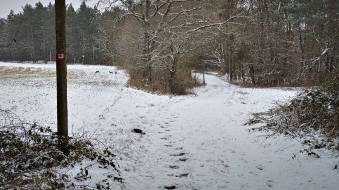 Rehleins haben mich begleitet
