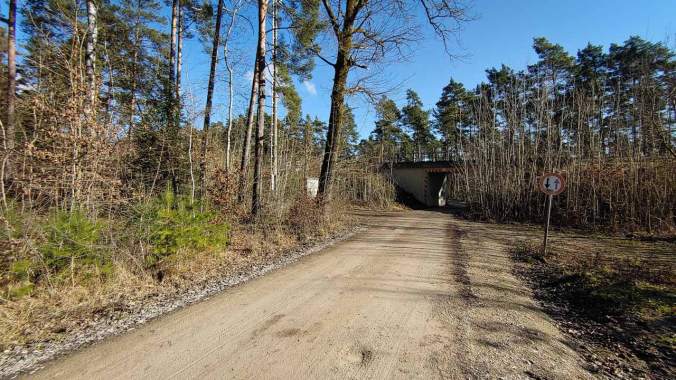 Sonniger Februar-Halbmarathon