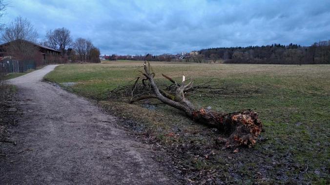 Was vom Sturm übrig bleibt...