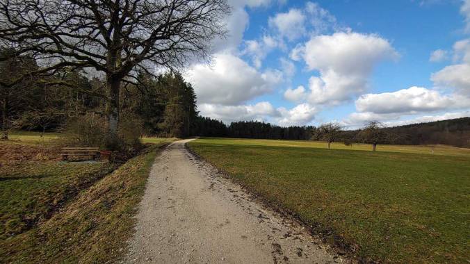 Sonniger Lauf zu den 200 km im Februar